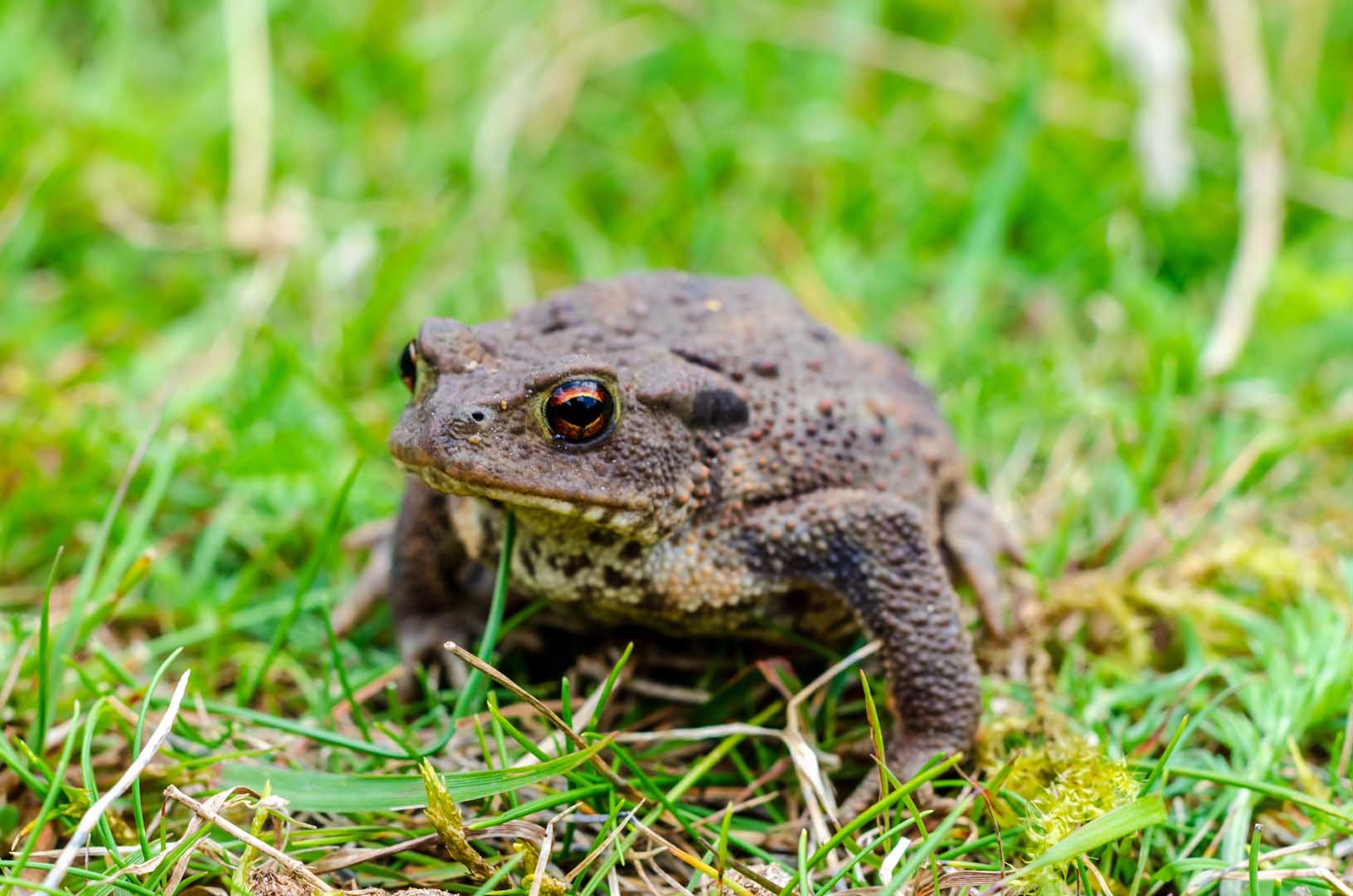 shutterstock_2186616113