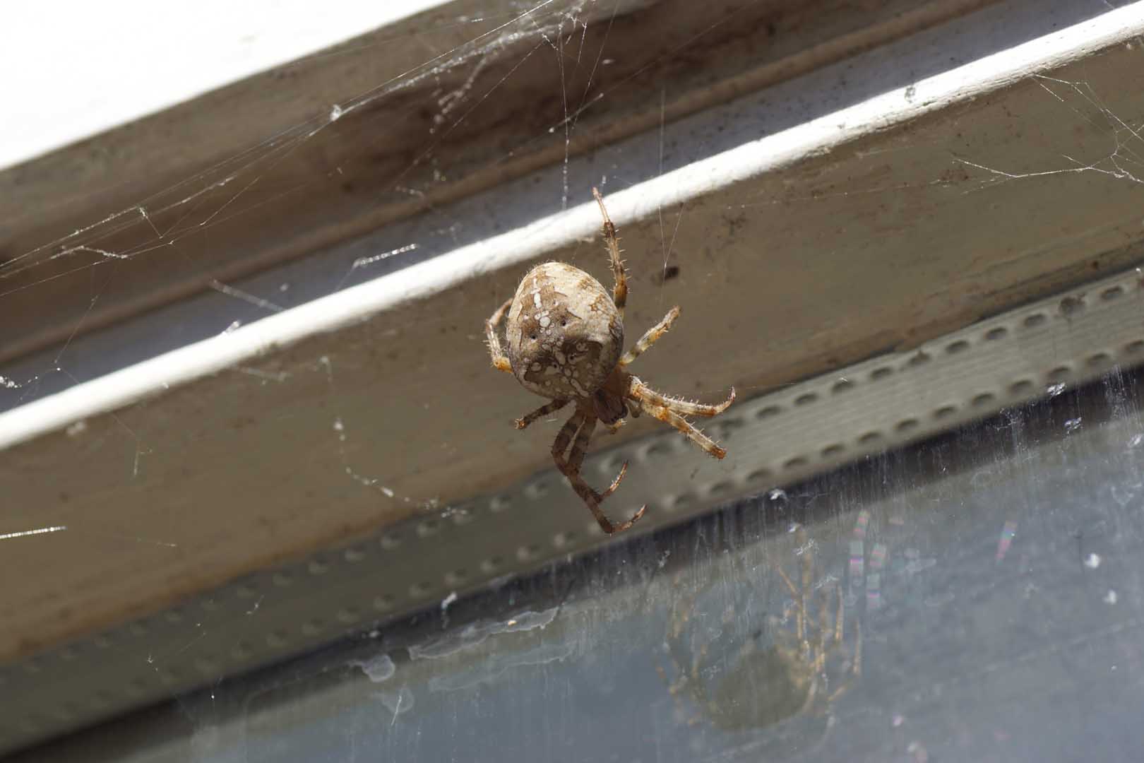 shutterstock_2357730053