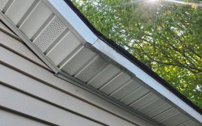 How Animals Get Into Soffits and Roof Vents in Connecticut Homes