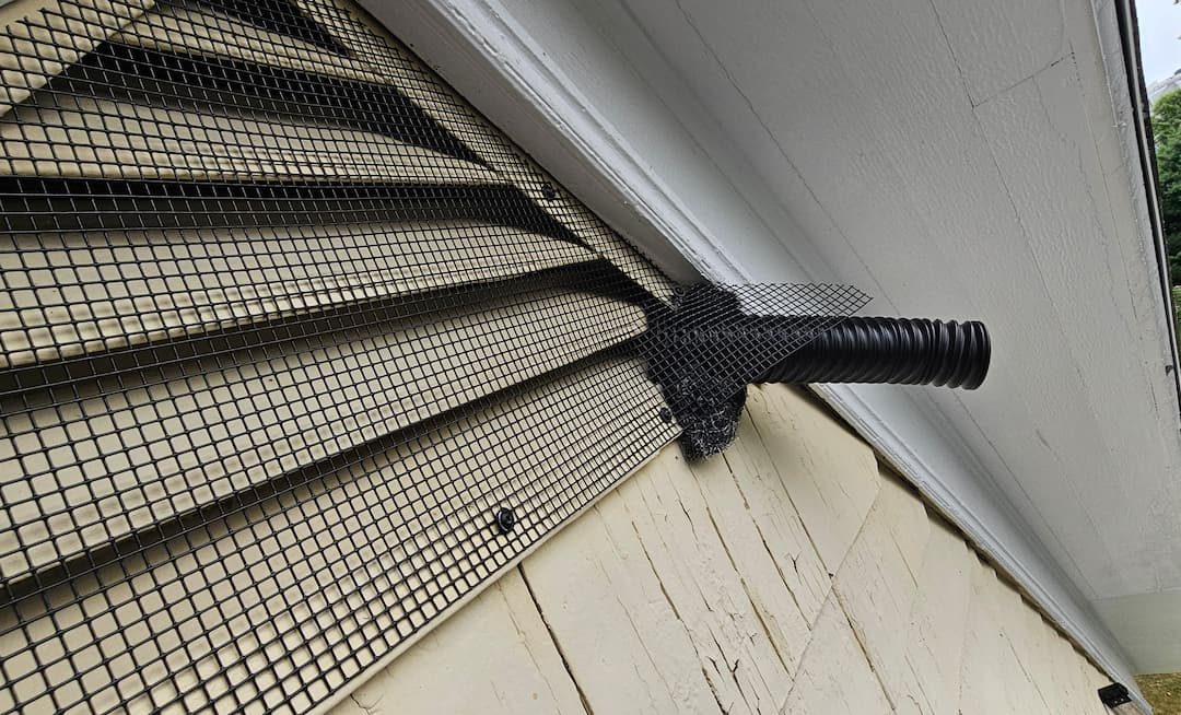 Why One-Way Doors Are Used for Bat Removal