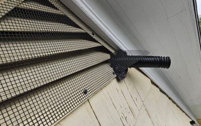 Why One-Way Doors Are Used for Bat Removal