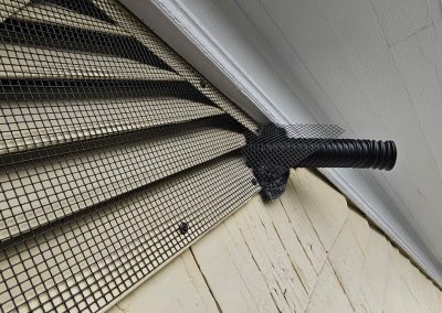 Why One-Way Doors Are Used for Bat Removal
