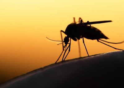 National Spotlight Highlights the In2Care® Mosquito Control System