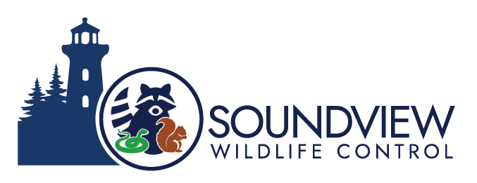 soundviewwildlifecontrol