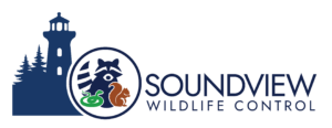 Sound View Wildlife Control