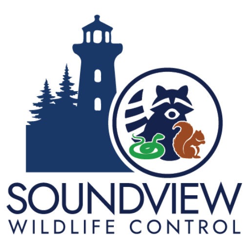 Soundview Wildlife Control Logo